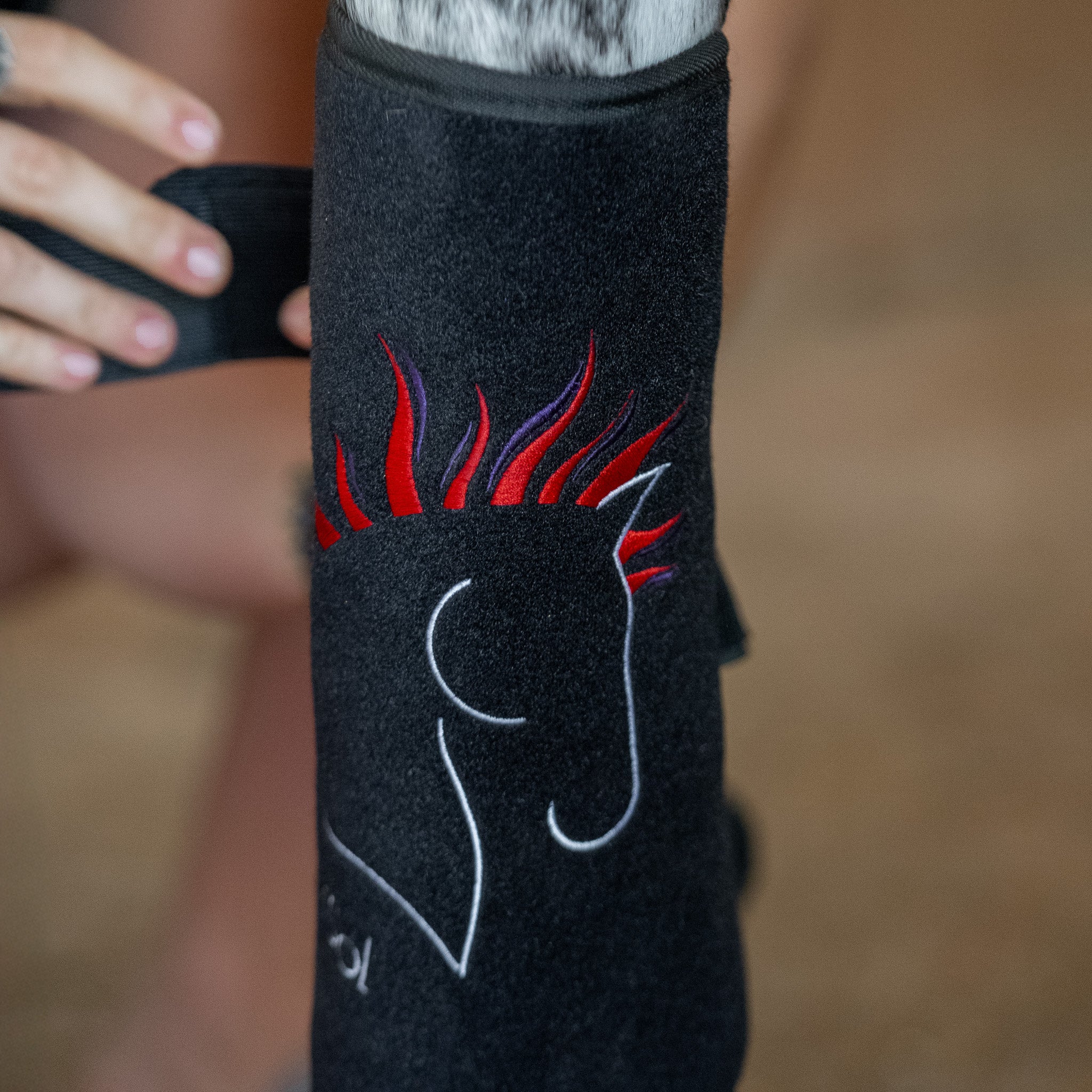 EquiSol horse leg wrap red light therapy in use.