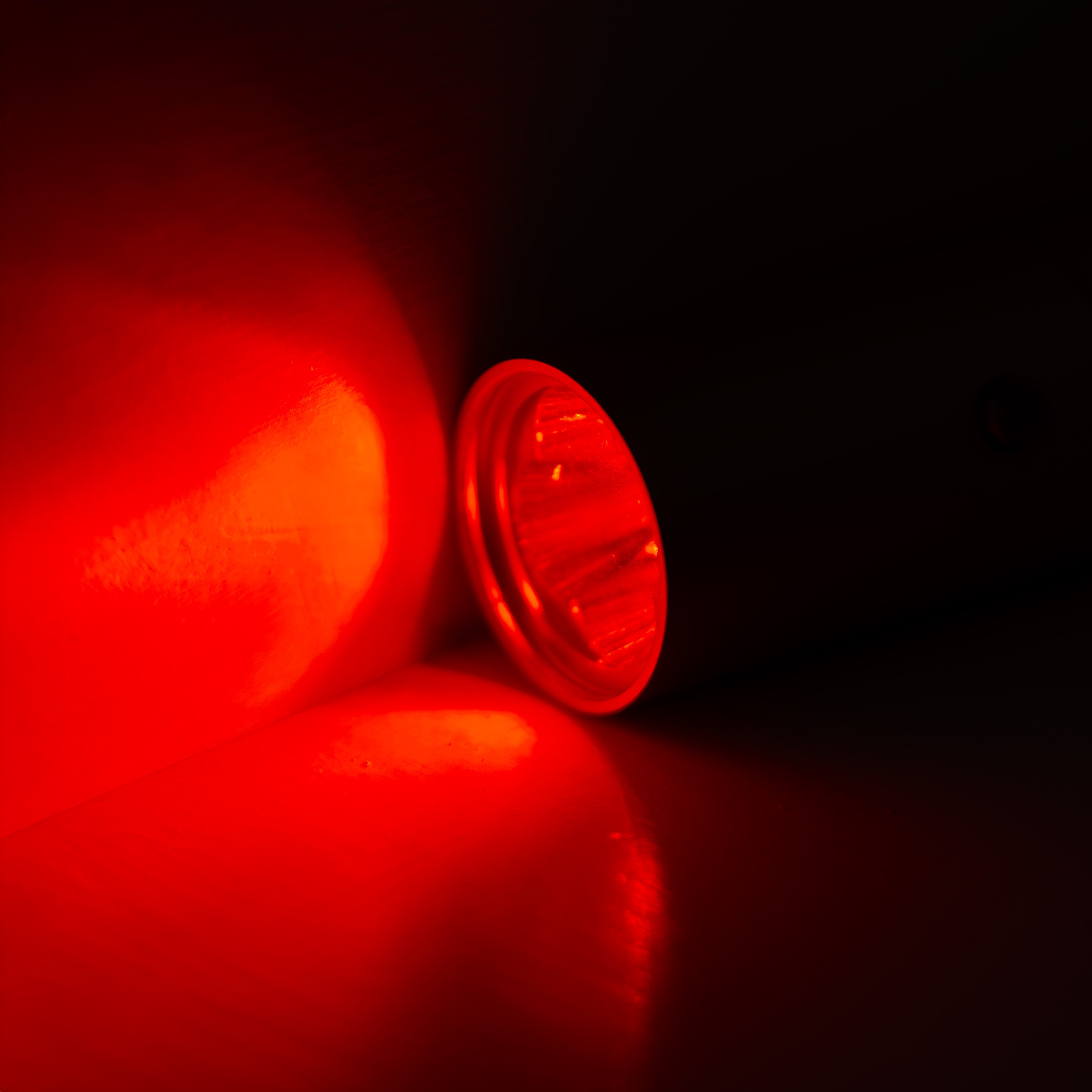 EquiSol Red Light Light Therapy Torch Hand Held Portable Device