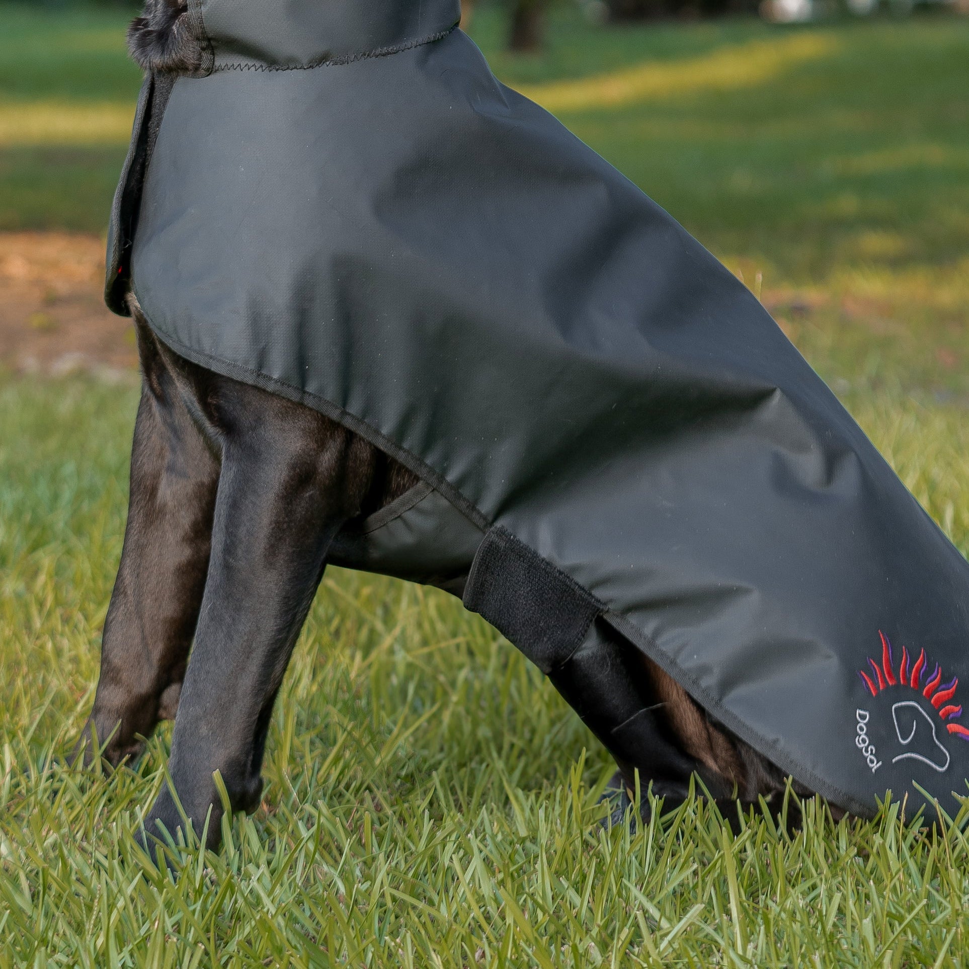 DogSol Canine Dog Infrared Red Light Therapy Blanket Large