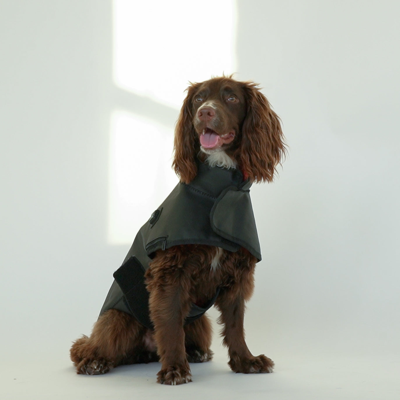 Small DogSol Canine Infrared Light Therapy Blanket