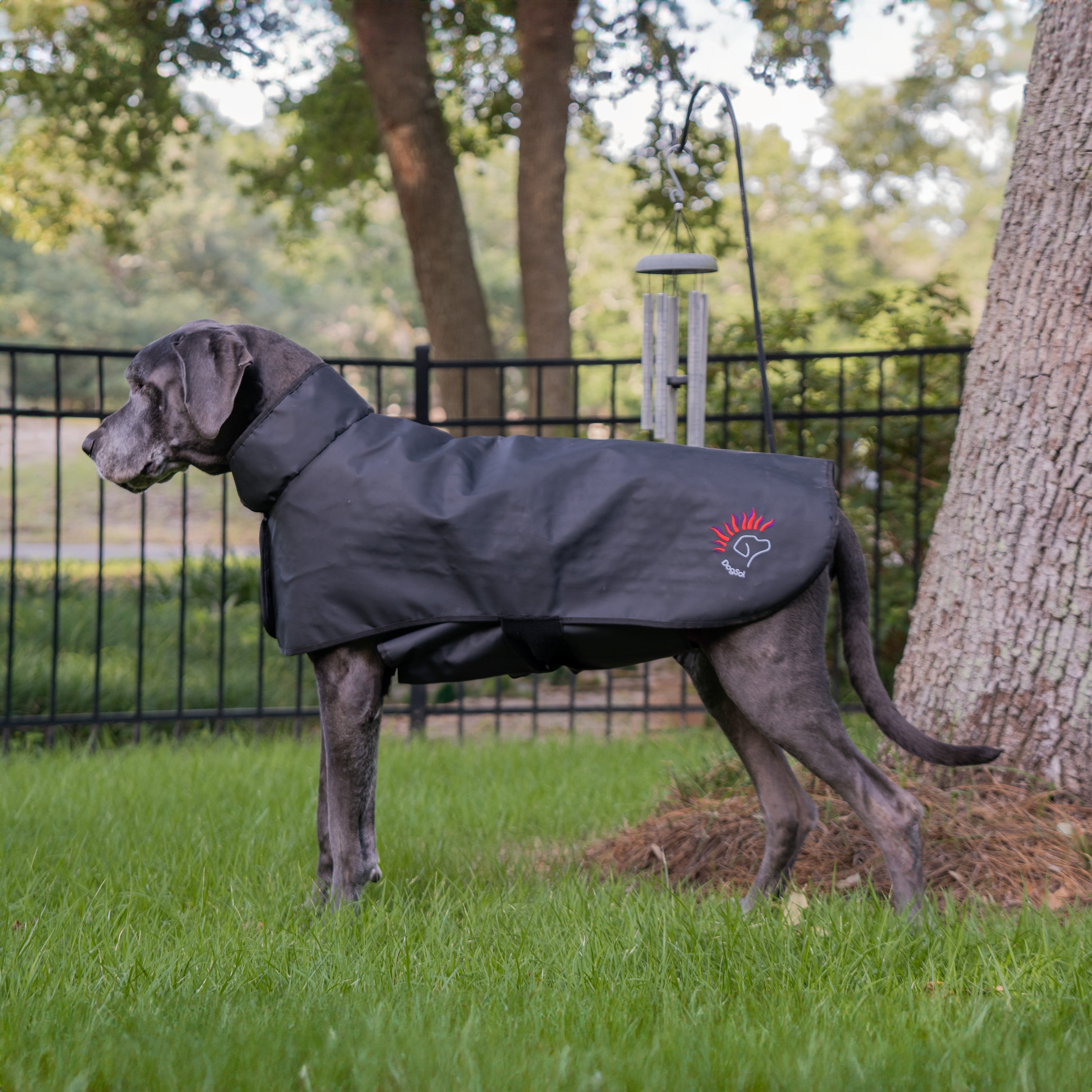 XLarge DogSol Canine Infrared Light Therapy Blanket