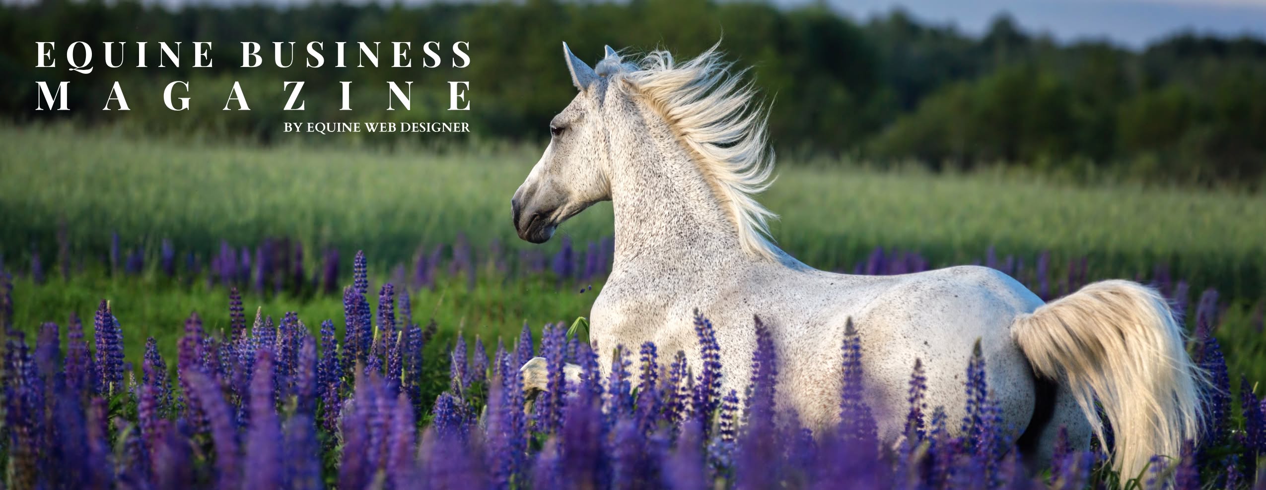 Equine Business Magazine | Investing In Horse Health With Light-Based Healing