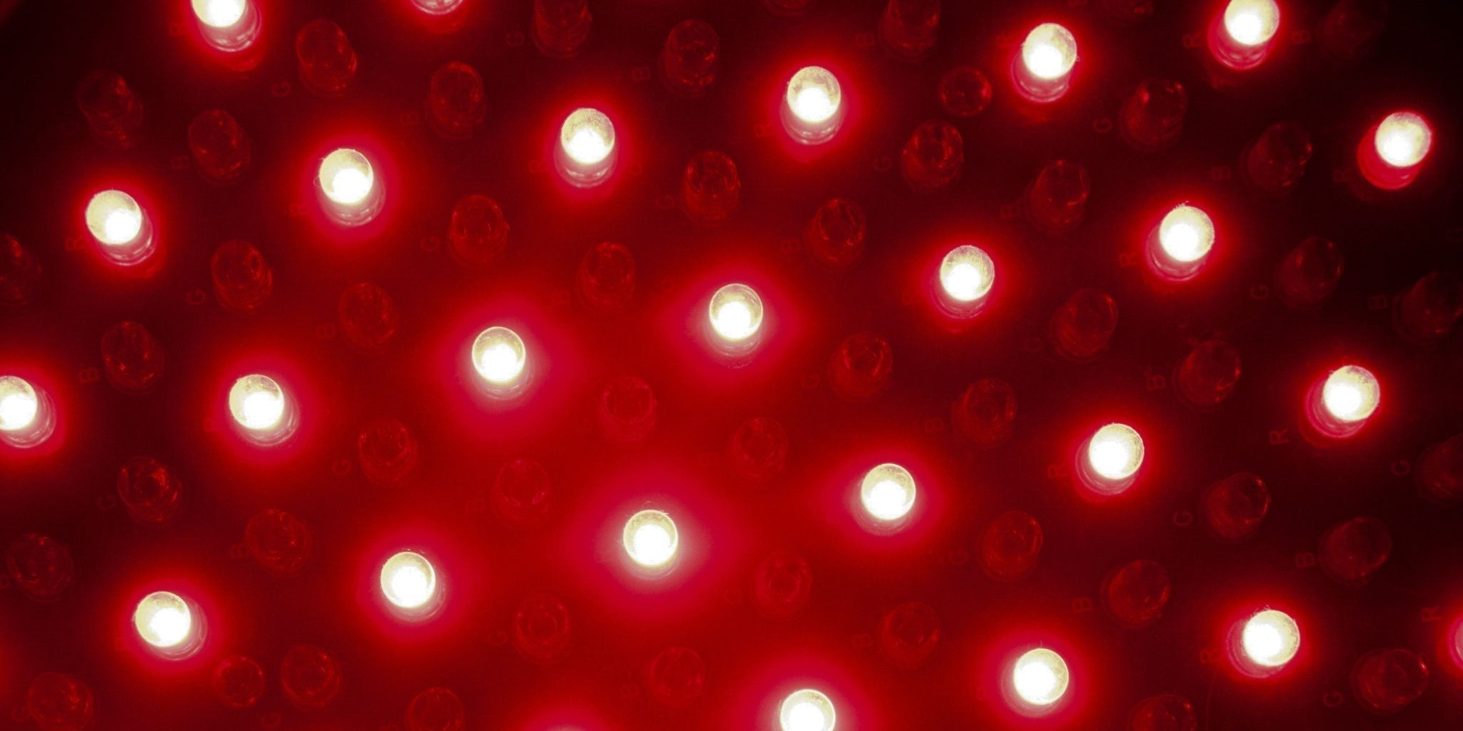 Revitalize Your Pets: The Ultimate Guide to Red Light Therapy for Dogs, Cats, and Horses