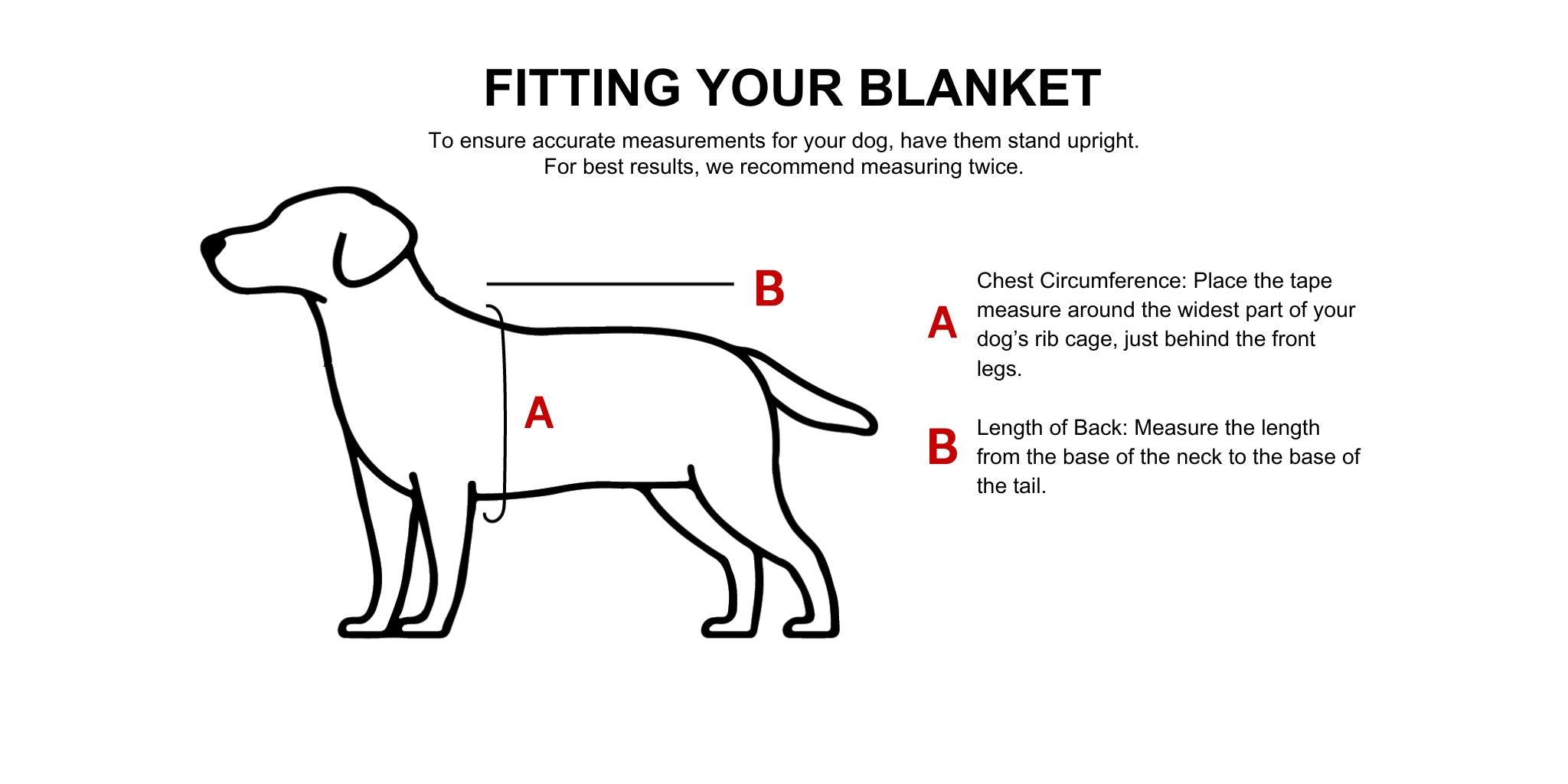 DogSol Canine Infrared Light Therapy Blanket