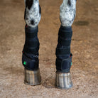 EquiSol horse leg wrap red light therapy in use.