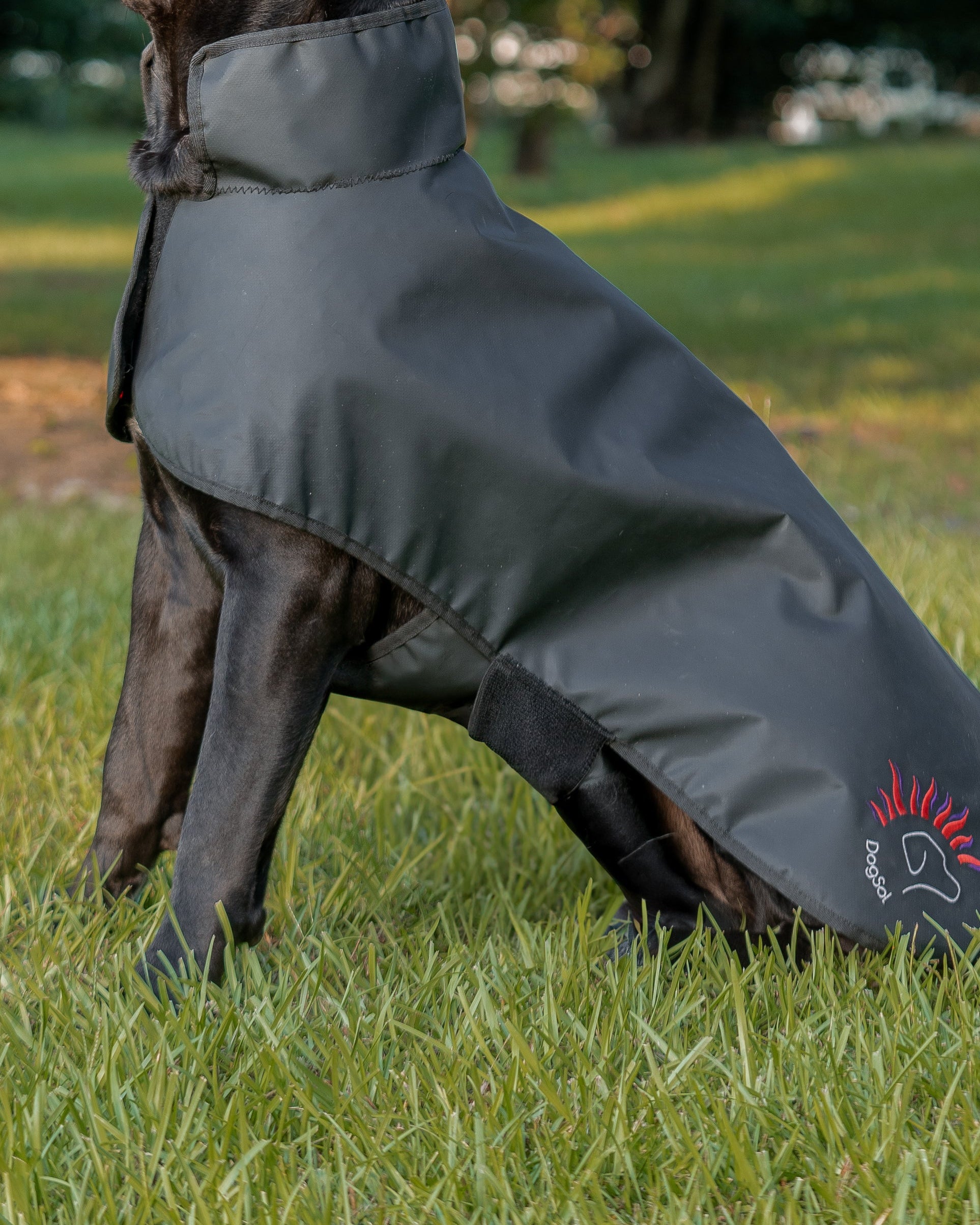 DogSol Canine Dog Infrared Red Light Therapy Blanket Large