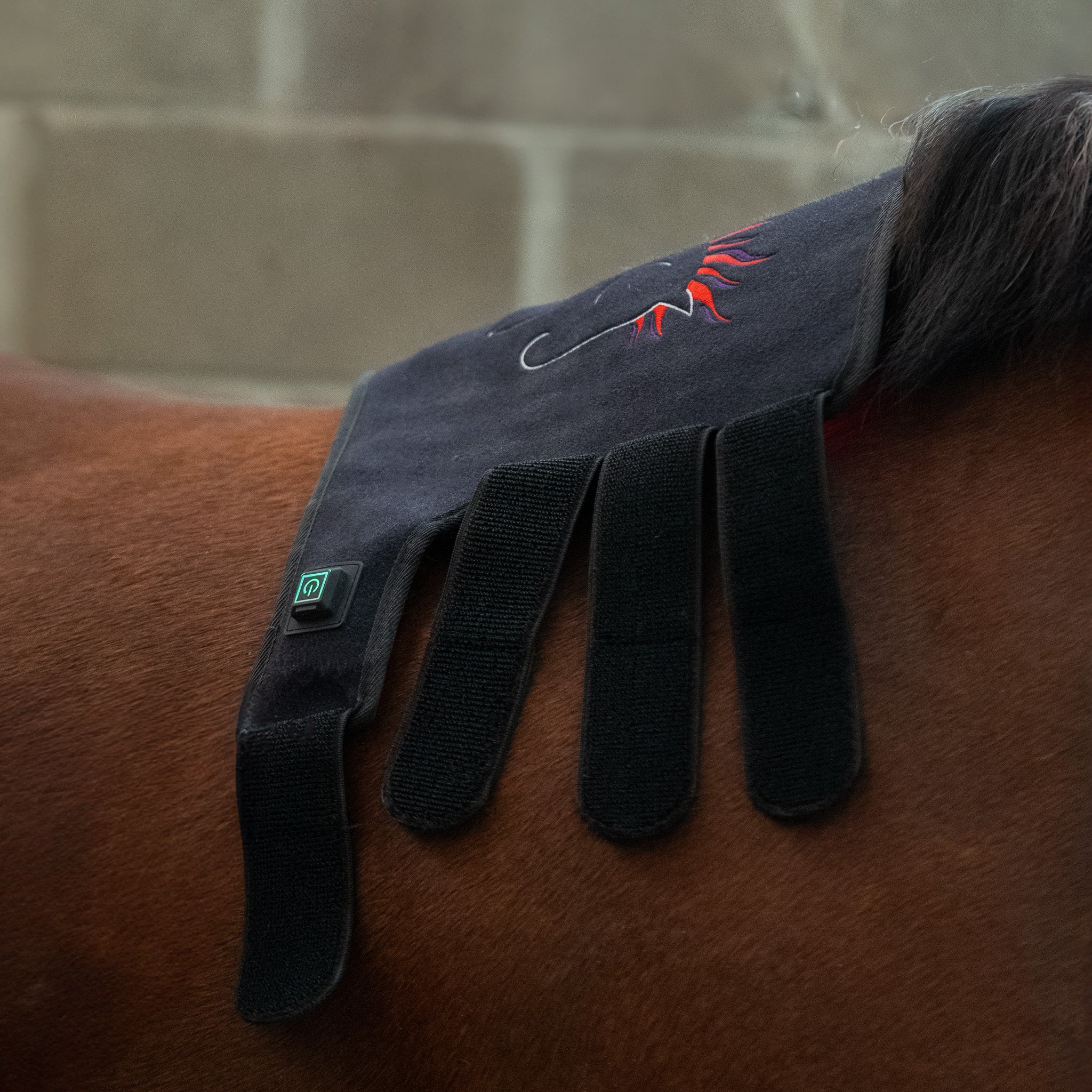 EquiSol horse leg wrap red light therapy in use on back.