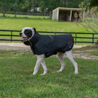 DogSol Canine Dog Infrared Red Light Therapy Blanket Medium 