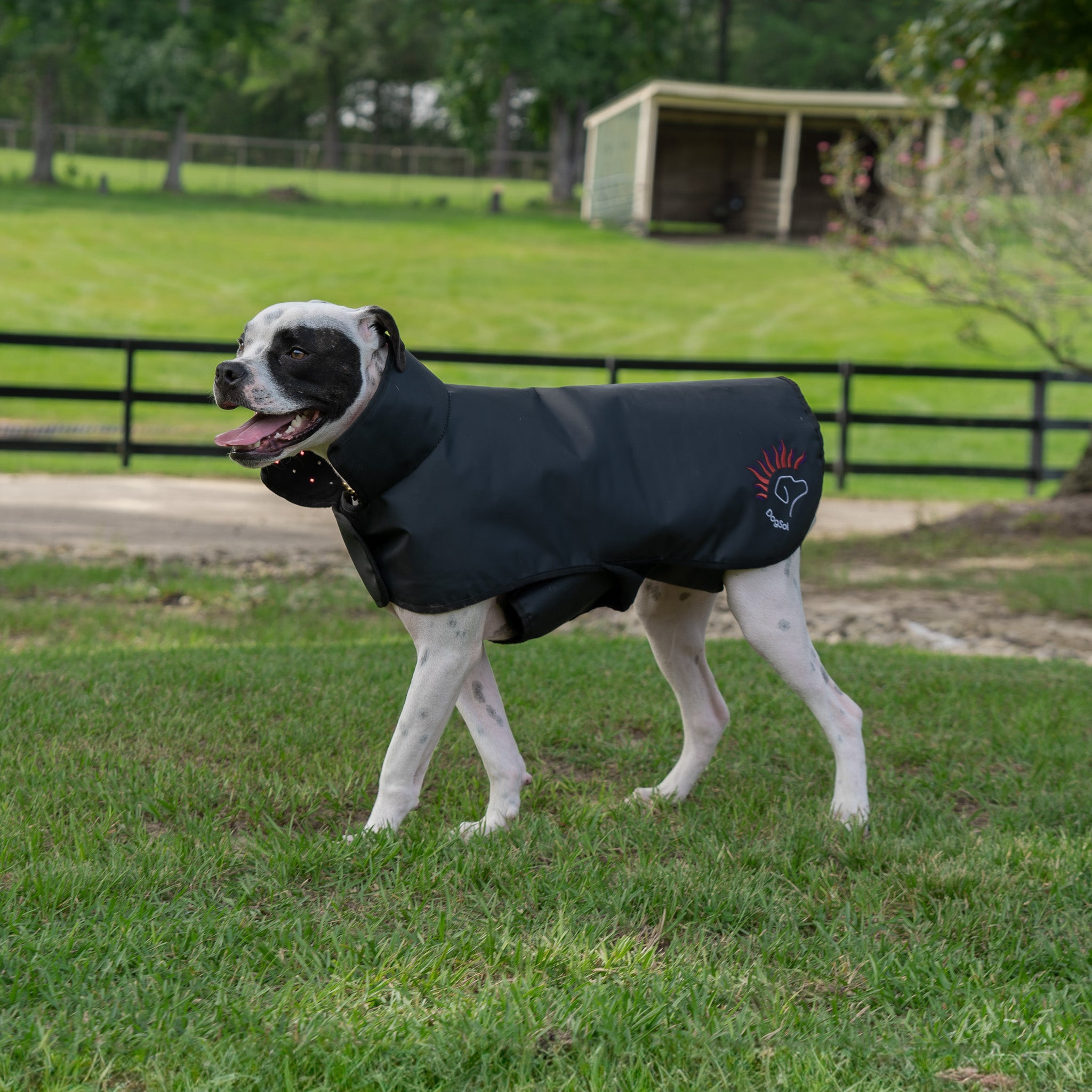 DogSol Canine Dog Infrared Red Light Therapy Blanket Medium 