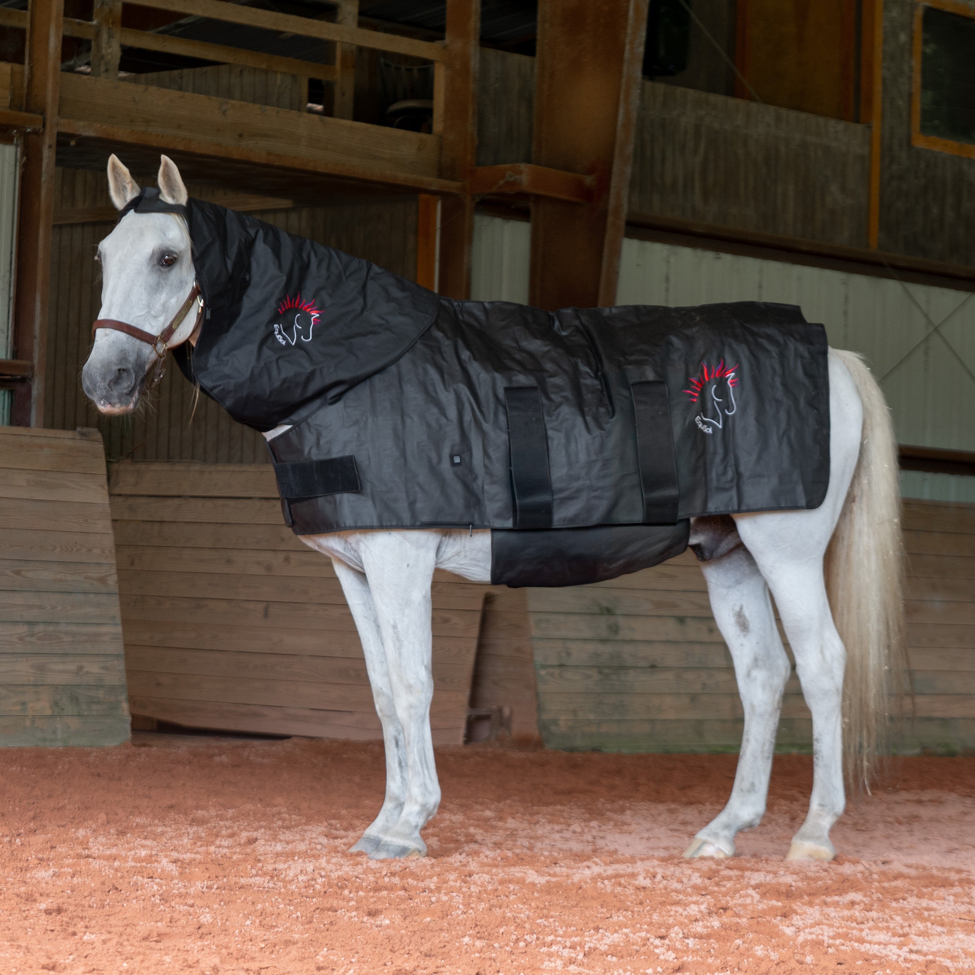 EquiSol Red and Near-Infrared Light Therapy Blanket for Horses