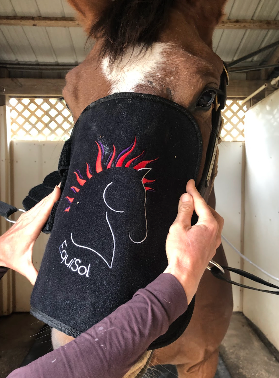 EquiSol Leg Wrap healing | EquiSol Leg Wrap Red Light Therapy | Horses and Pet