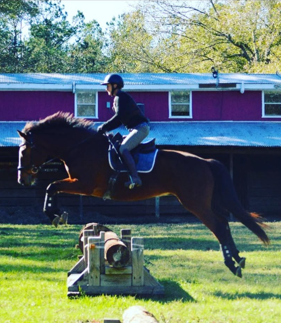before and after red light therapy | EquiSol red light therapy for horses