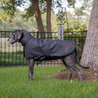 XLarge DogSol Canine Infrared Light Therapy Blanket